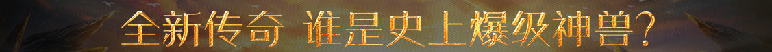 策略网经济财经